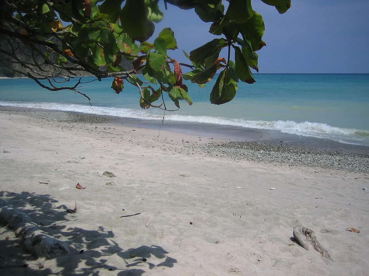 Leaf-framed view of a pale sand beach and blue ocean at Cabo Blanco