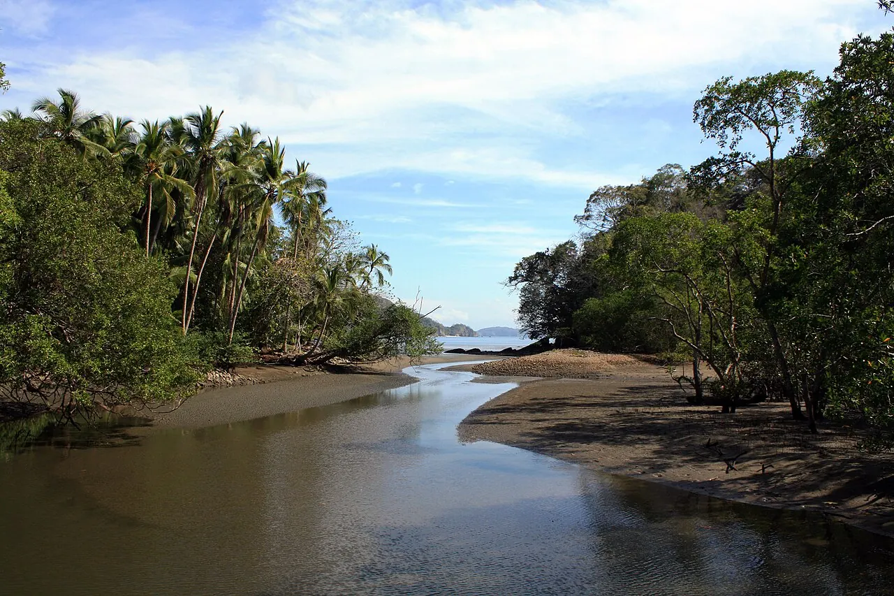 Mangrove-lined estuary opening toward the sea at Curú Wildlife Refuge