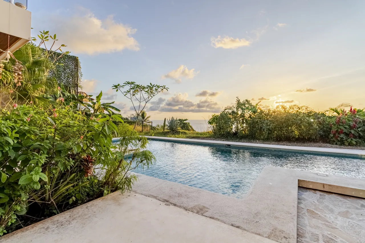 Swimming pool surrounded by tropical planting in the evening light